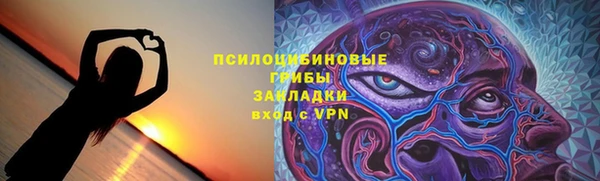 шишки Алексин