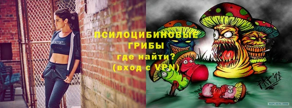 спиды Алексеевка