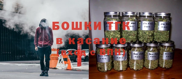 шишки Алексин